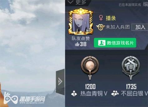 和平精英辅助软件：安全、稳定和有效的选择方