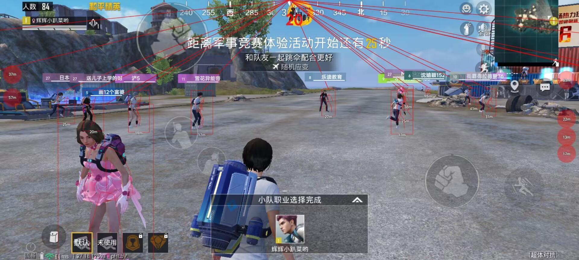 和平精英《火锅》辅助
